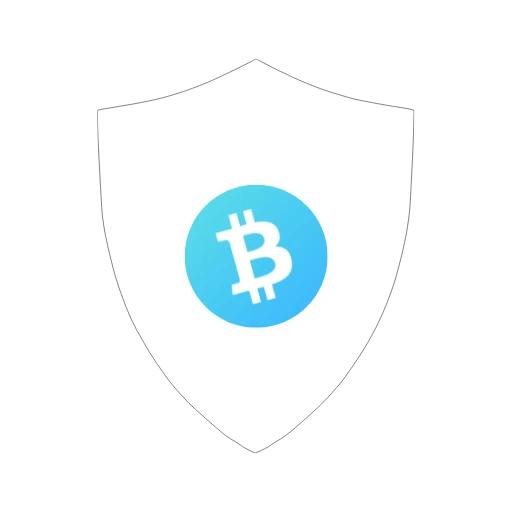 BCH Bull icon representing hedge position